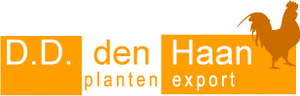 Commissiehandel D.D. den Haan