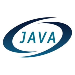 Java Professionals