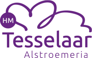 H.M. Tesselaar CS