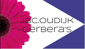 Jac Oudijk bv