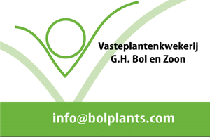 Vasteplantenkwekerij G.H. Bol en Zoon