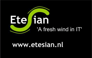 Etesian IT Consulting