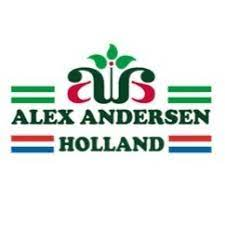 Alex Andersen Holland B.V.